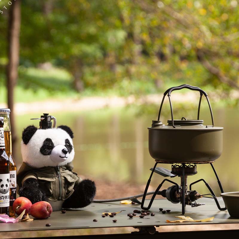 ปลอกหุ้มถังแก๊สปิกนิกแบบพกพา ส - Cooking On Camping Stove บทวิจารณ์และราคา